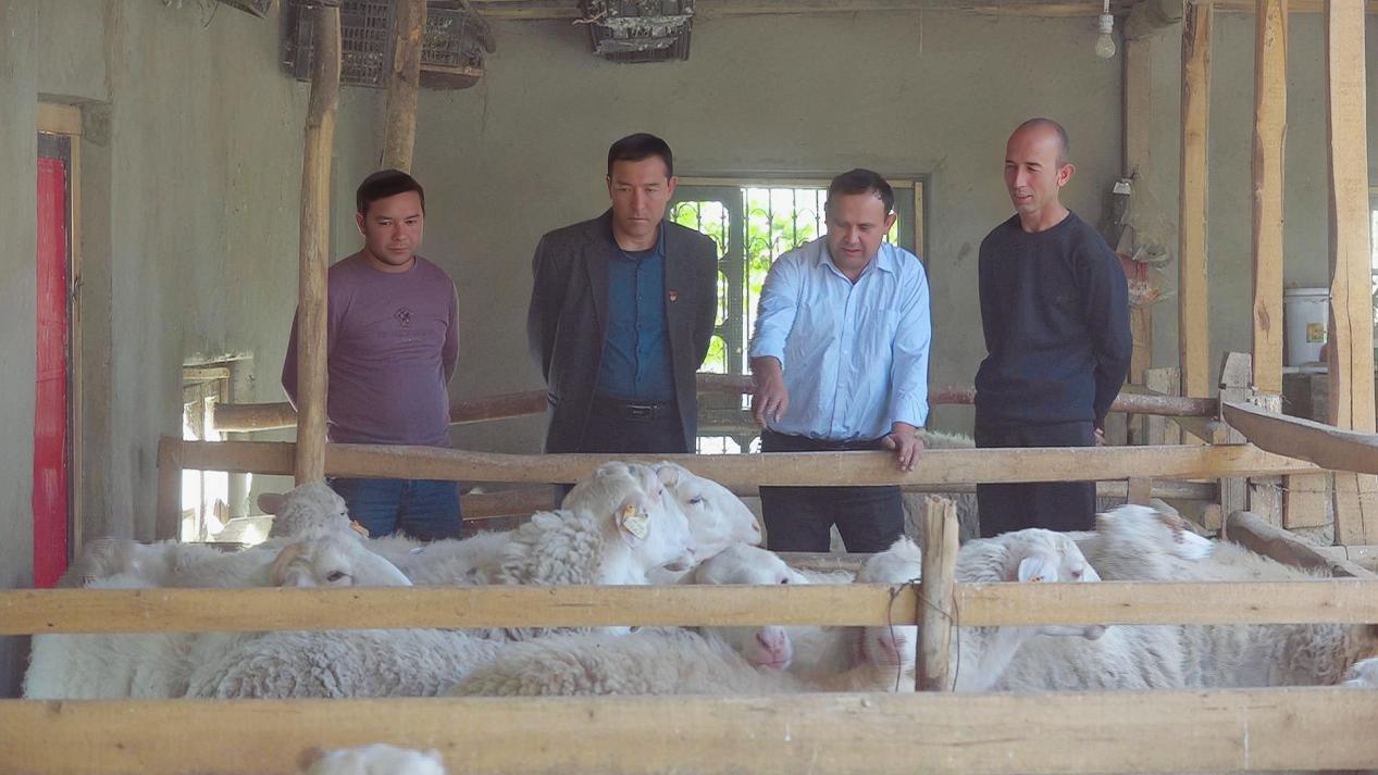 微信图片_20231031121950