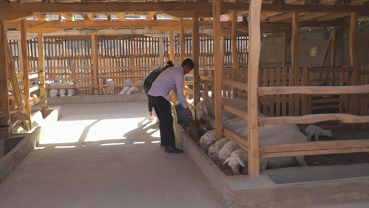 微信图片_20231027135310