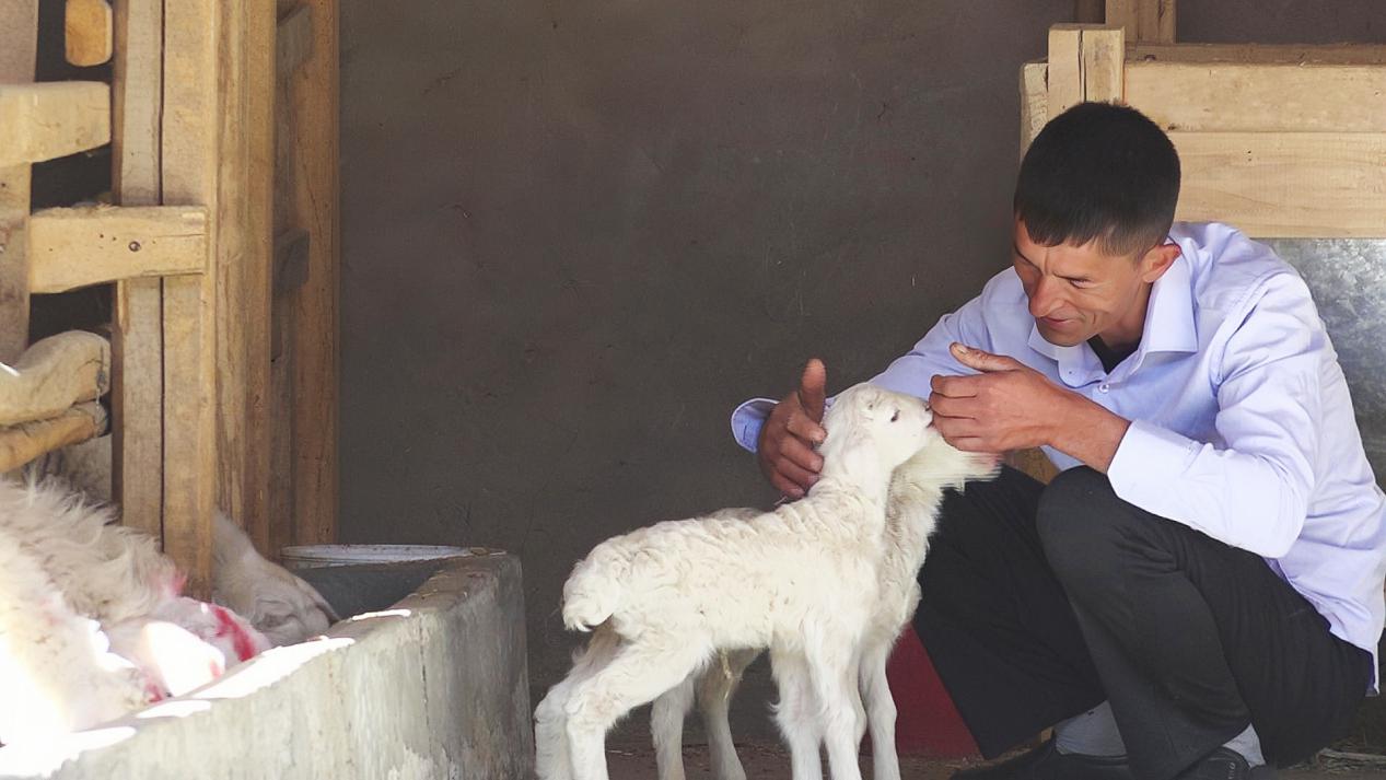 微信图片_20231027135307