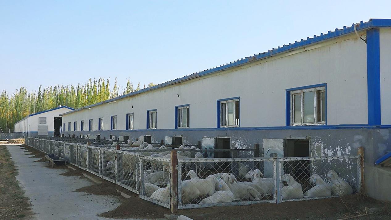 微信图片_20231030121837