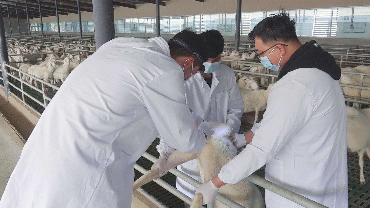 微信图片_20231030121835