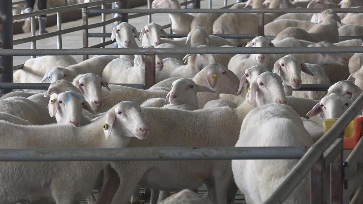 暴风截图202310304842083