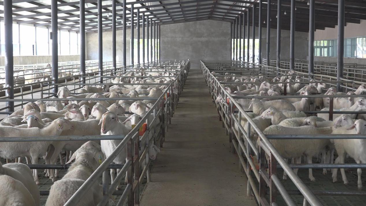 暴风截图202310304828324