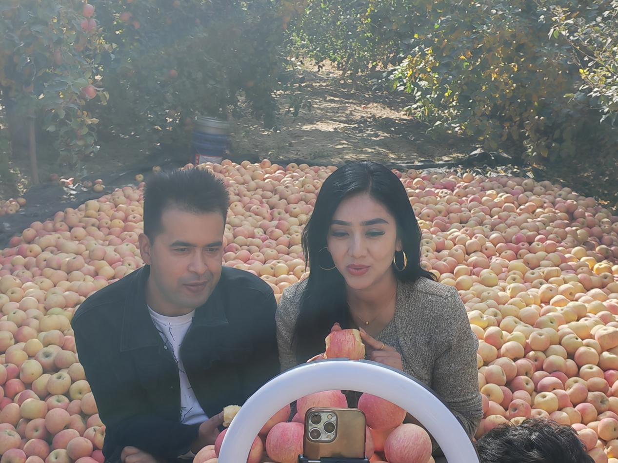 W020231102718121645586