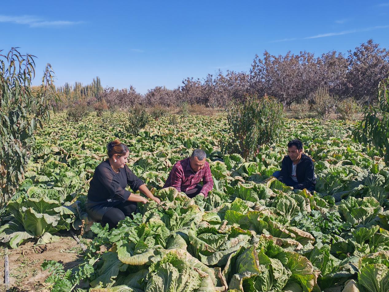 W020231102718122368338