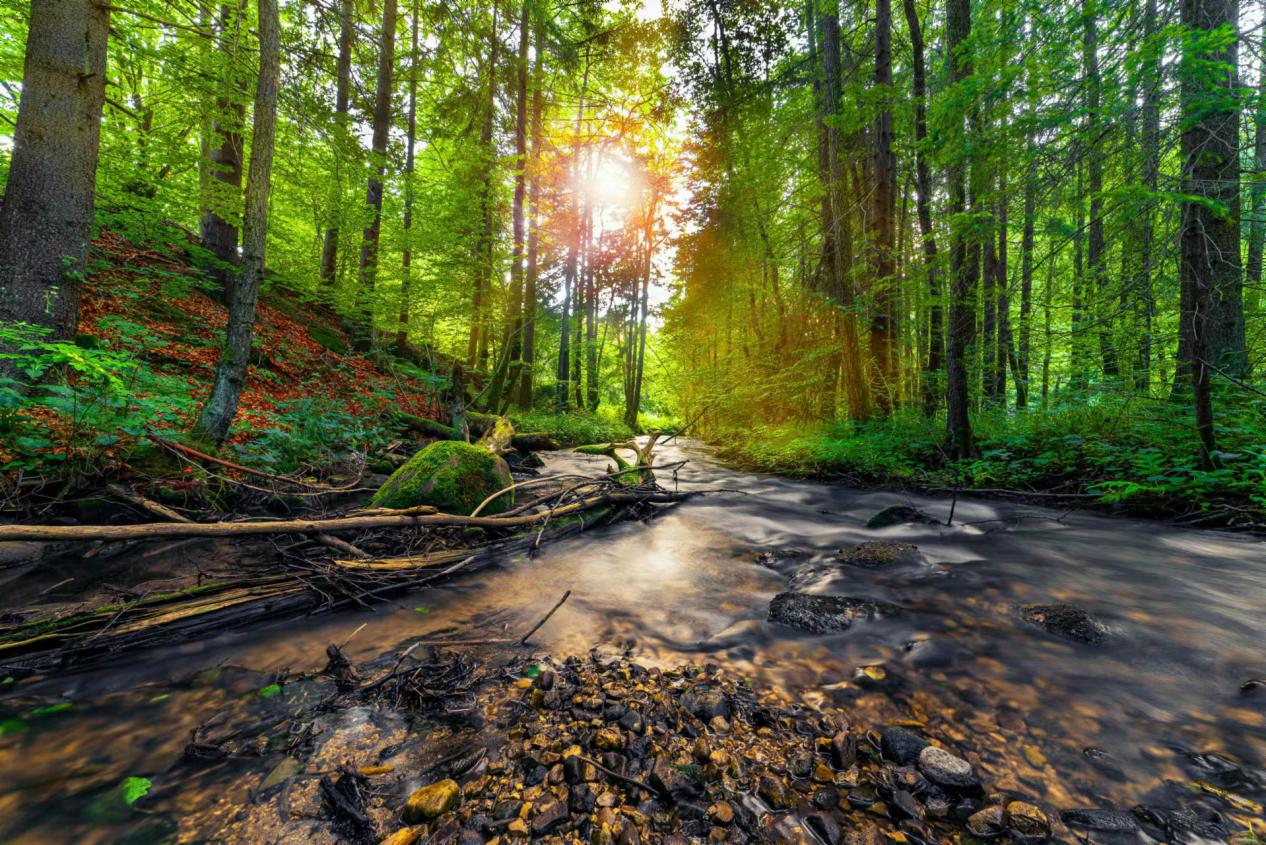 微信图片_20220616172526