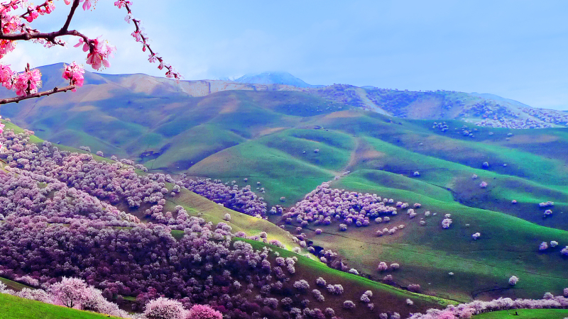 mmexport1699843176084