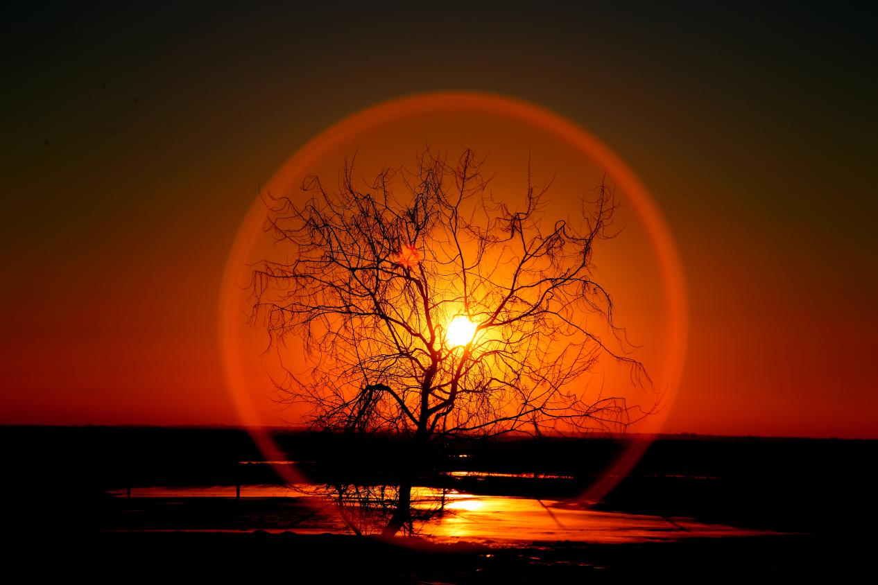 金色花环,达吾列尼作品