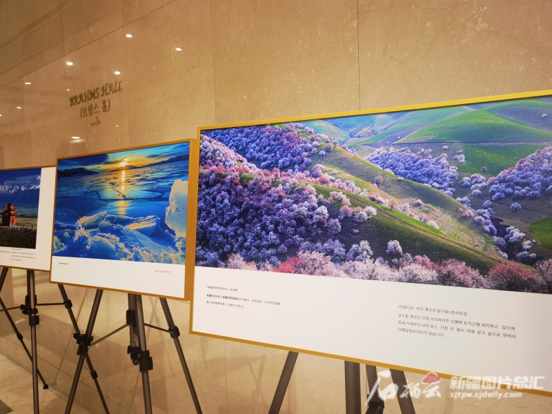 IMG_20231116_095718_1