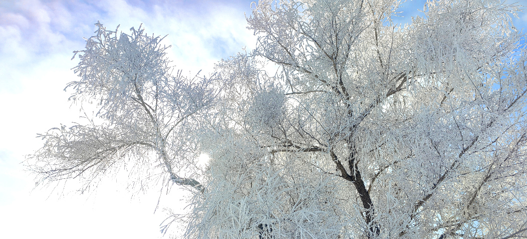 雾凇mmexport1700557072819