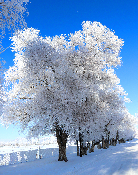 雾凇mmexport1700557168017