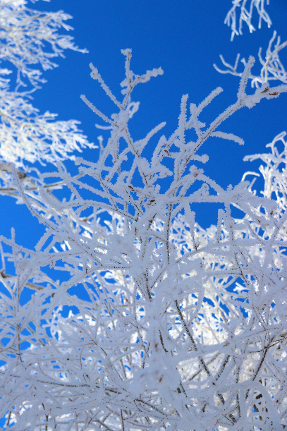 雾凇mmexport1700557129826