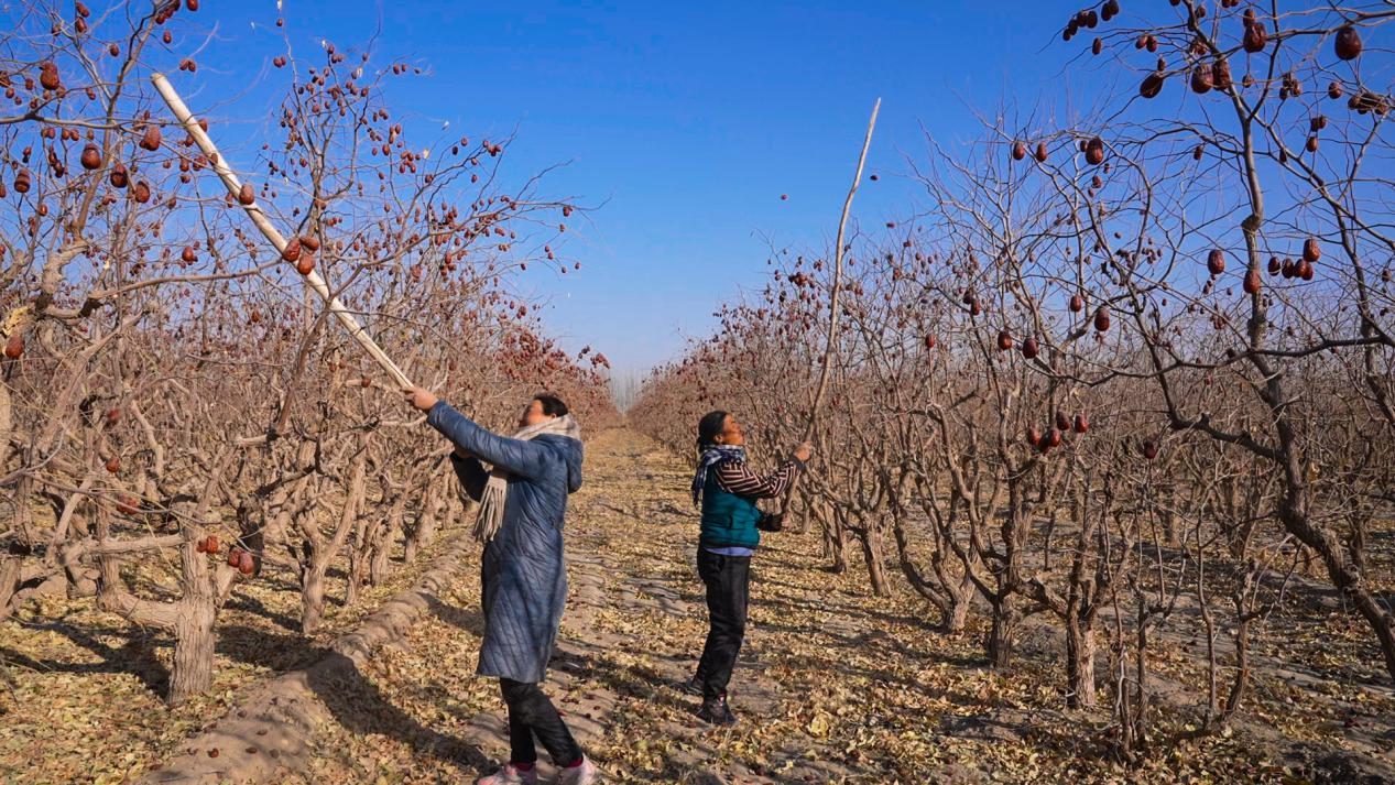 W020231128397645720538