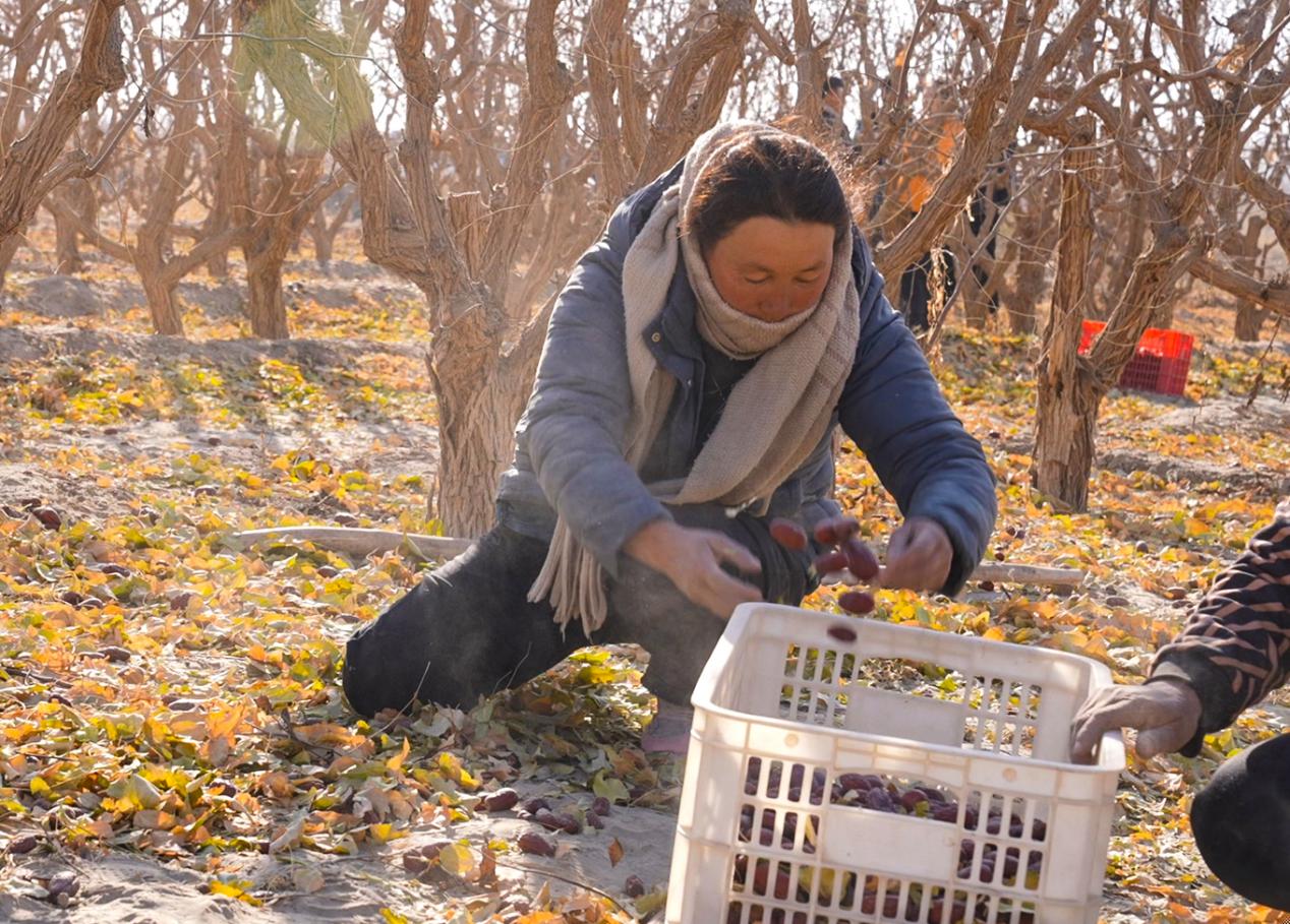 W020231128397647227493