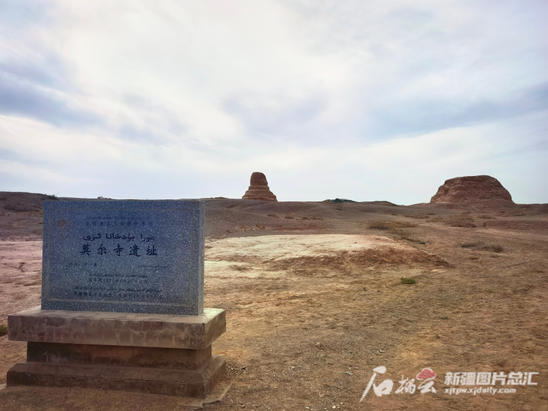 IMG_20231023_164518_edit_97005510168530