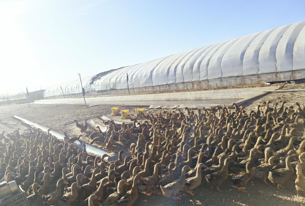 W020231129488961806608