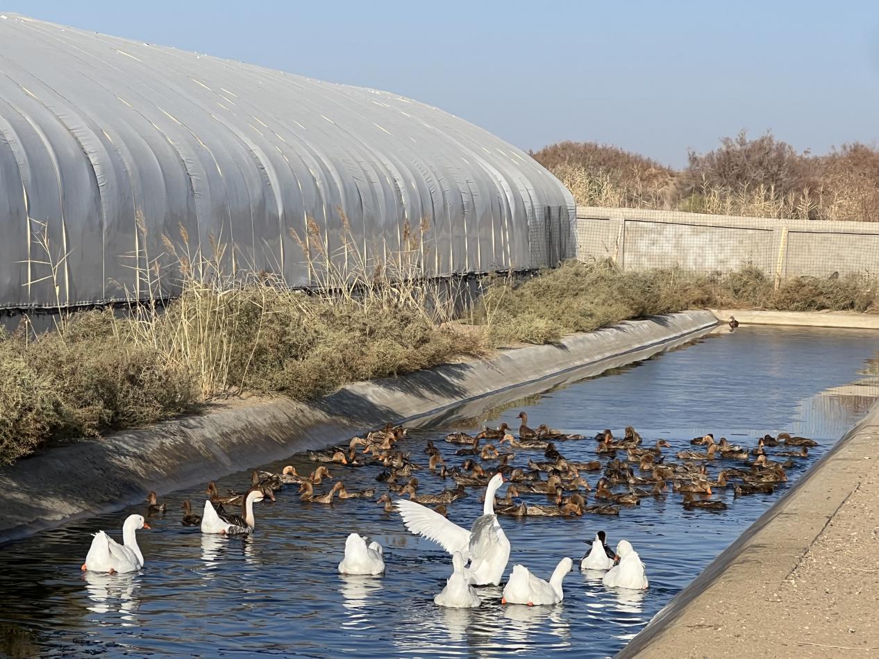 W020231129488968674922