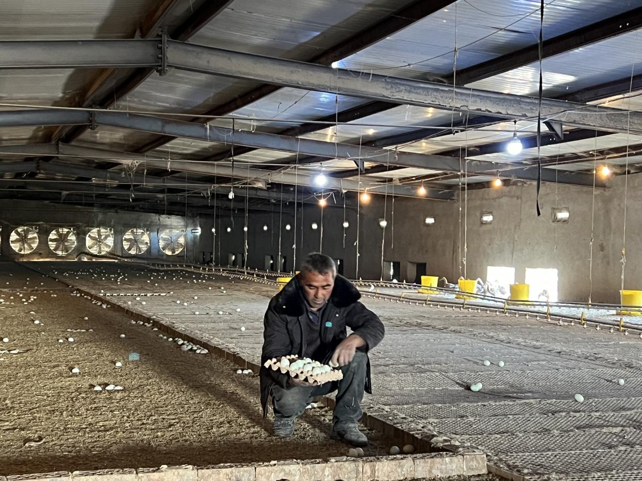 W020231129488964920158