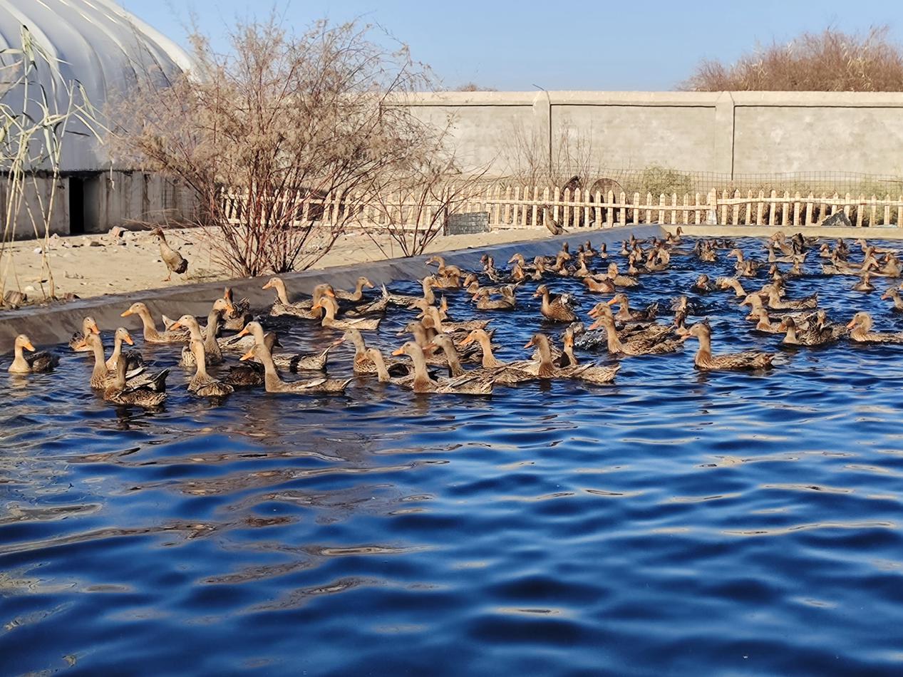 W020231129488969999030