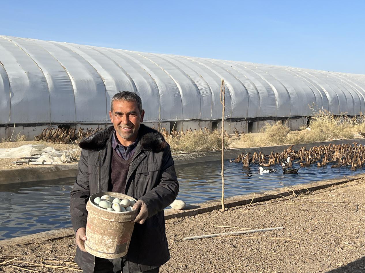 W020231129488965912391