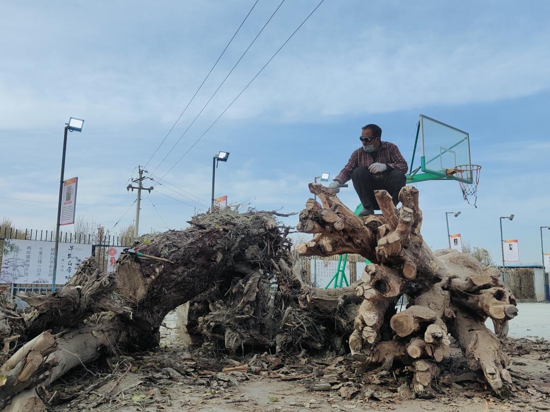 8580cdd2e92ba9387e2cd062bcf8732