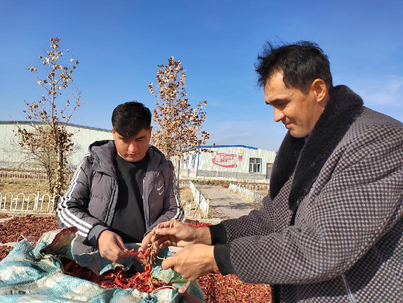 W020231204402236388265