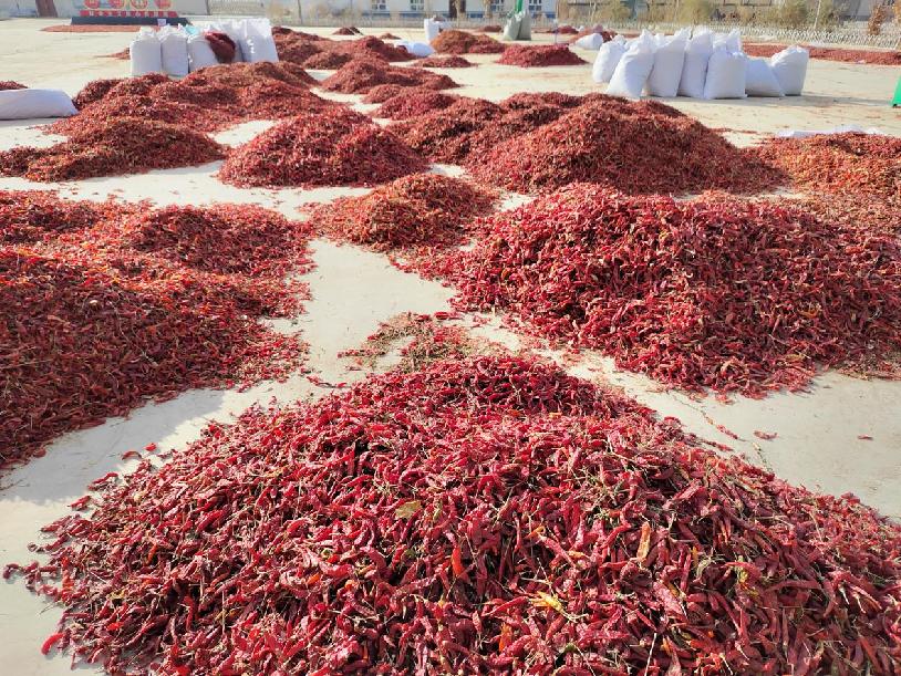 W020231204402231895718