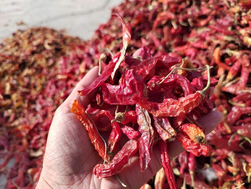 W020231204402239521896