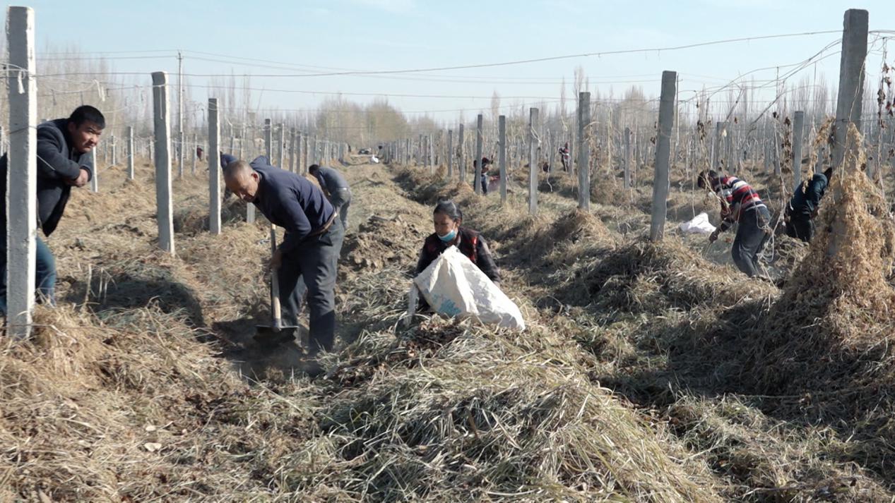 W020231205459063392639