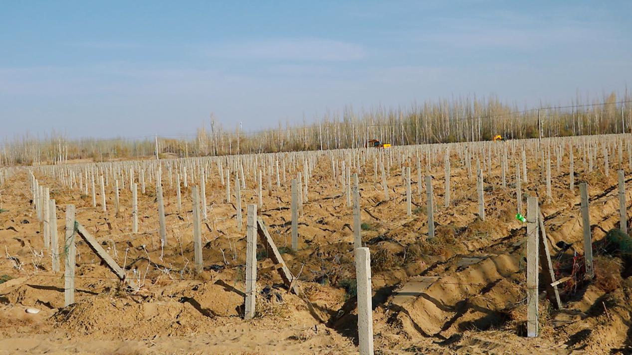 W020231205459062243327