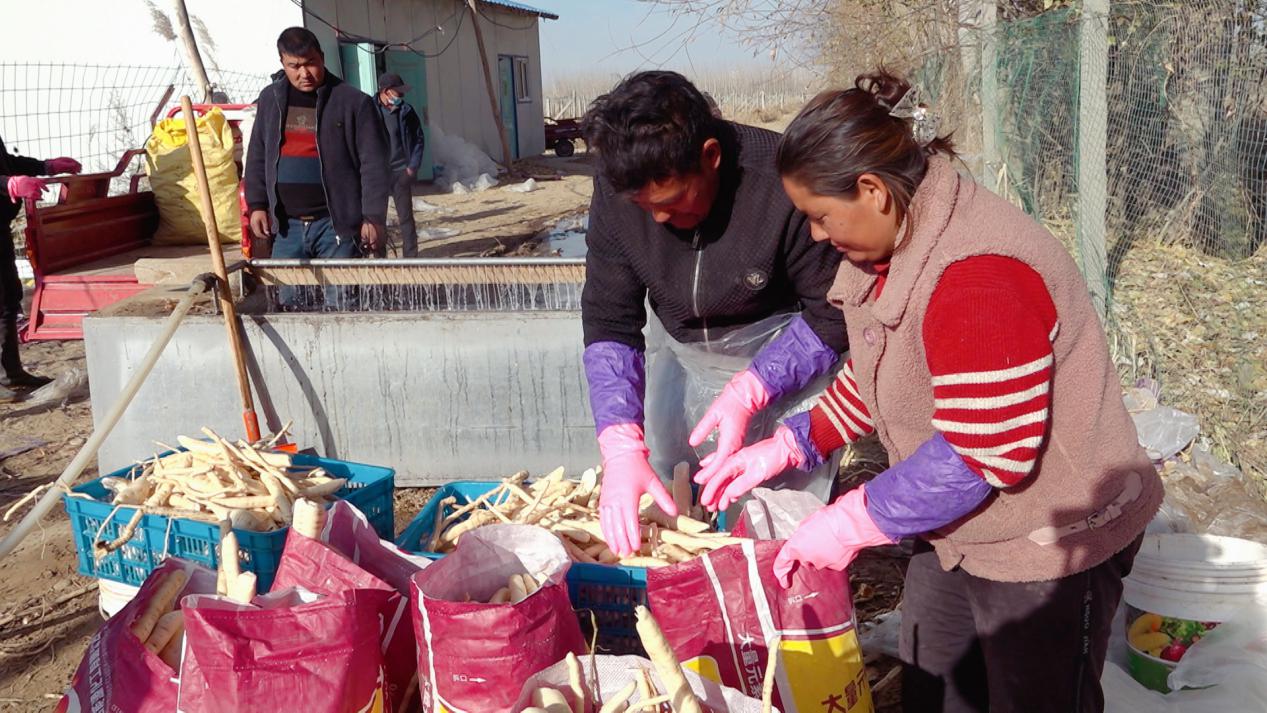 W020231205459064876565