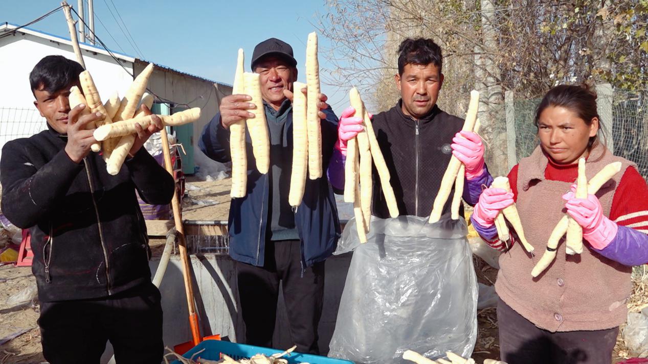 W020231205459064105474