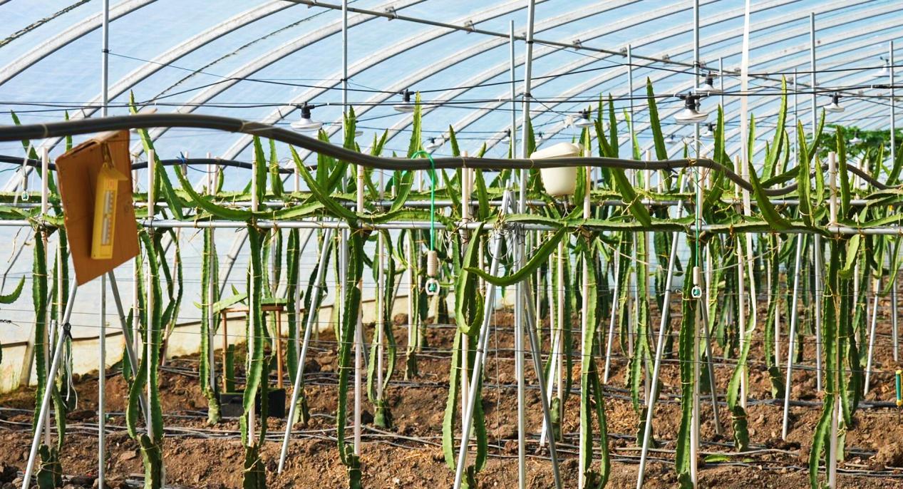 retouch_2023120411050597