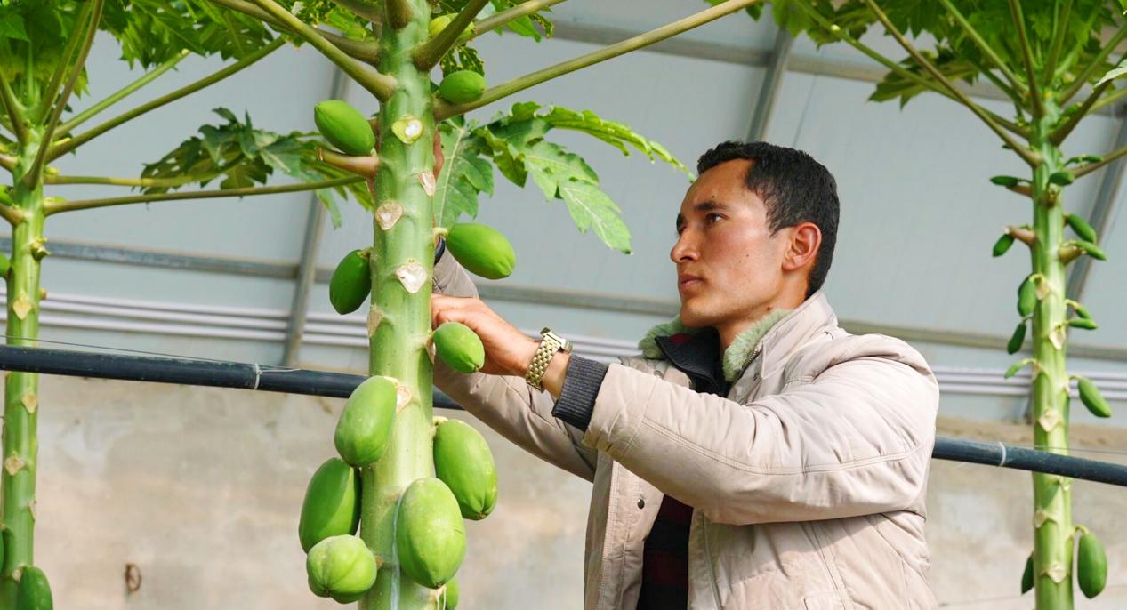 retouch_2023120411035764