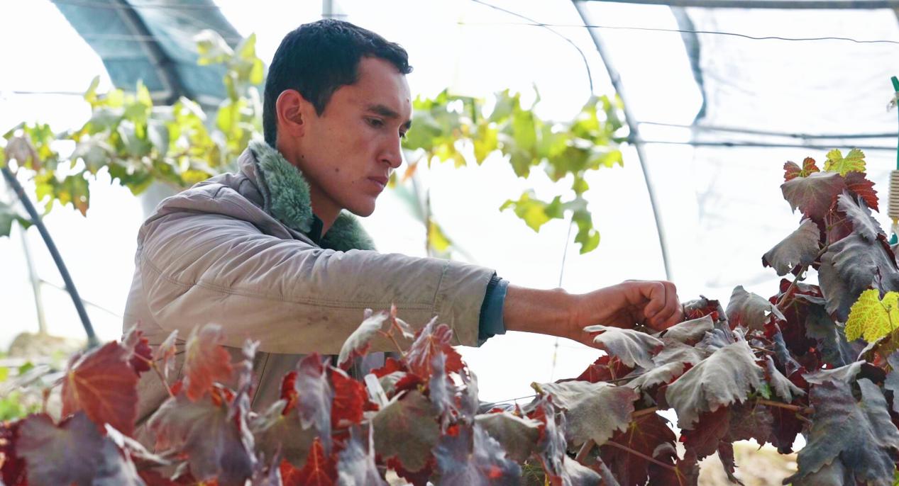 retouch_2023120411031843