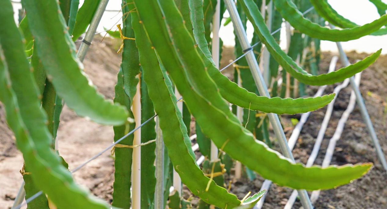 retouch_2023120411042407