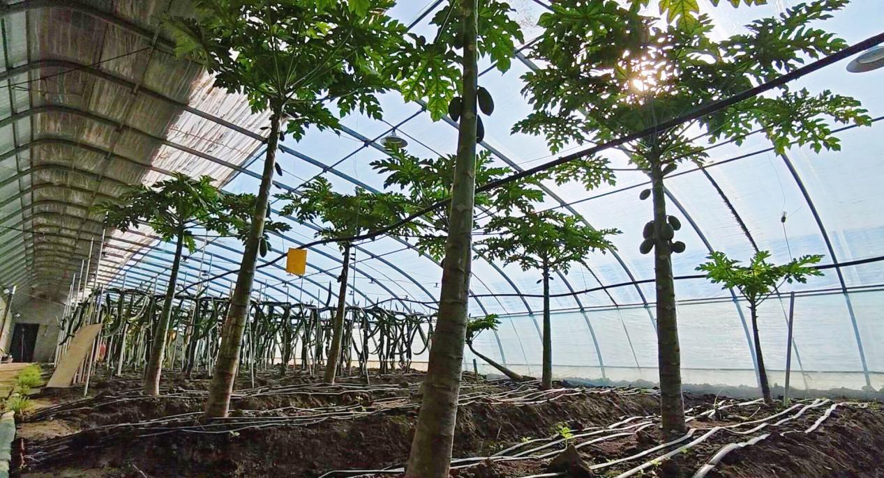 retouch_2023120411053558