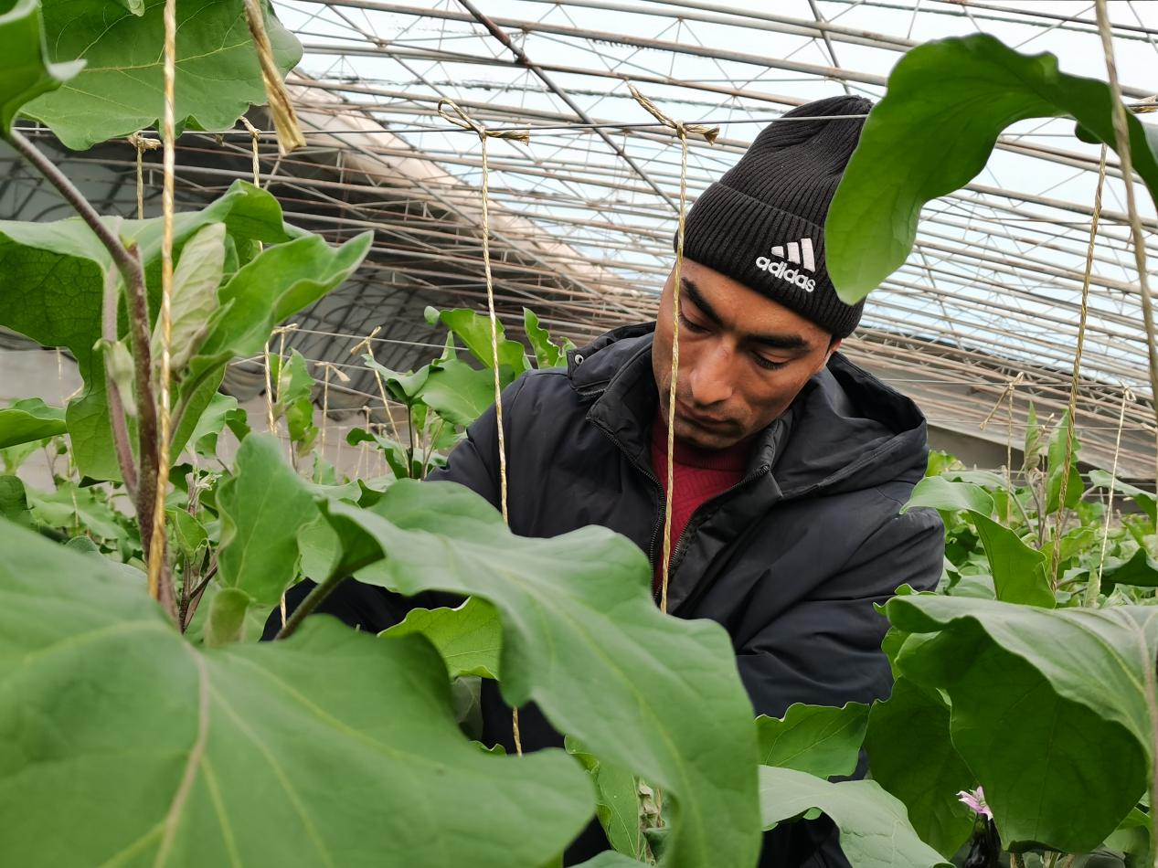 W020231215699115855393