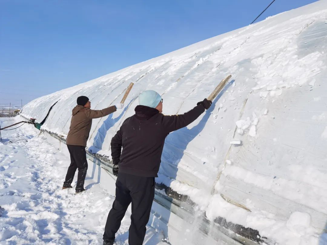 富蕴县多举措积极应对寒潮天气3