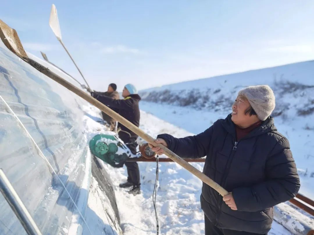 富蕴县多举措积极应对寒潮天气5