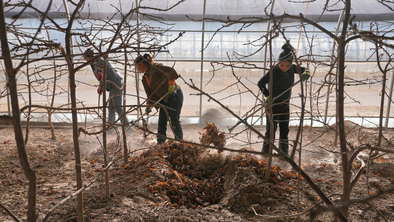 retouch_2023121812101482