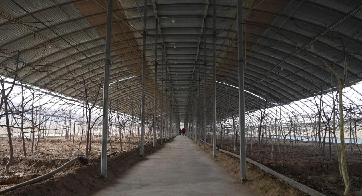 QQ截图20231218121925