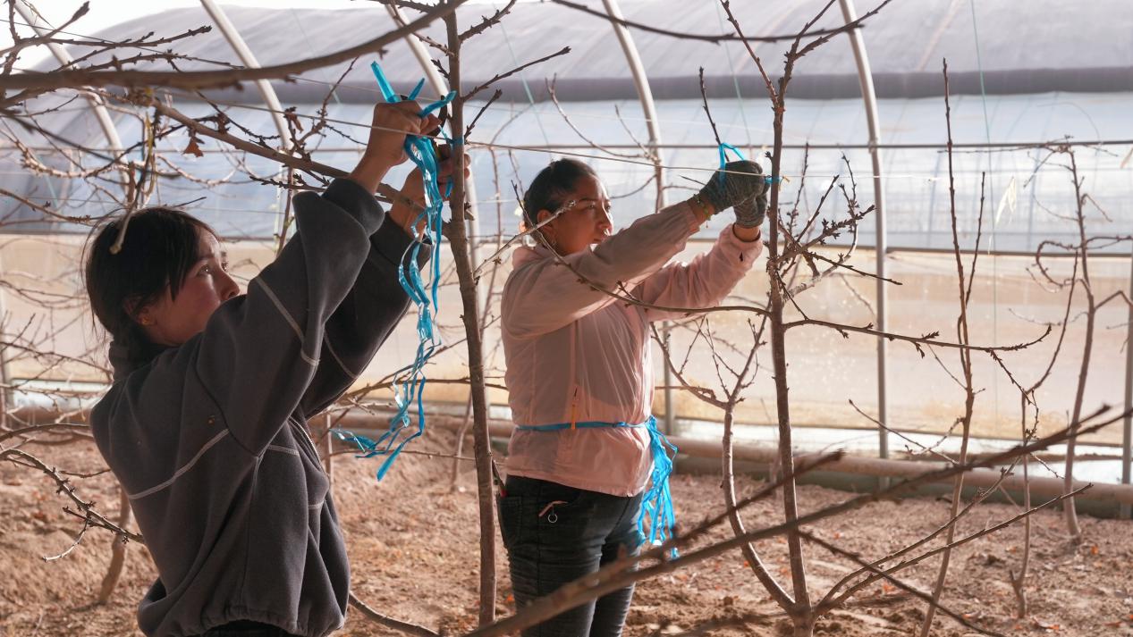 retouch_2023121812094140