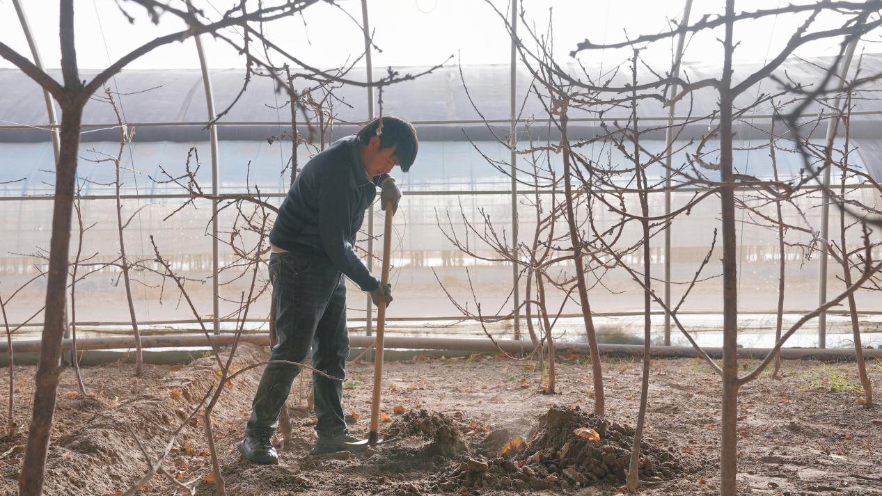 retouch_2023121812091237