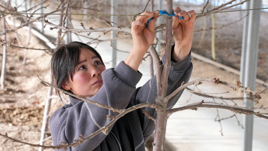 retouch_2023121812095408