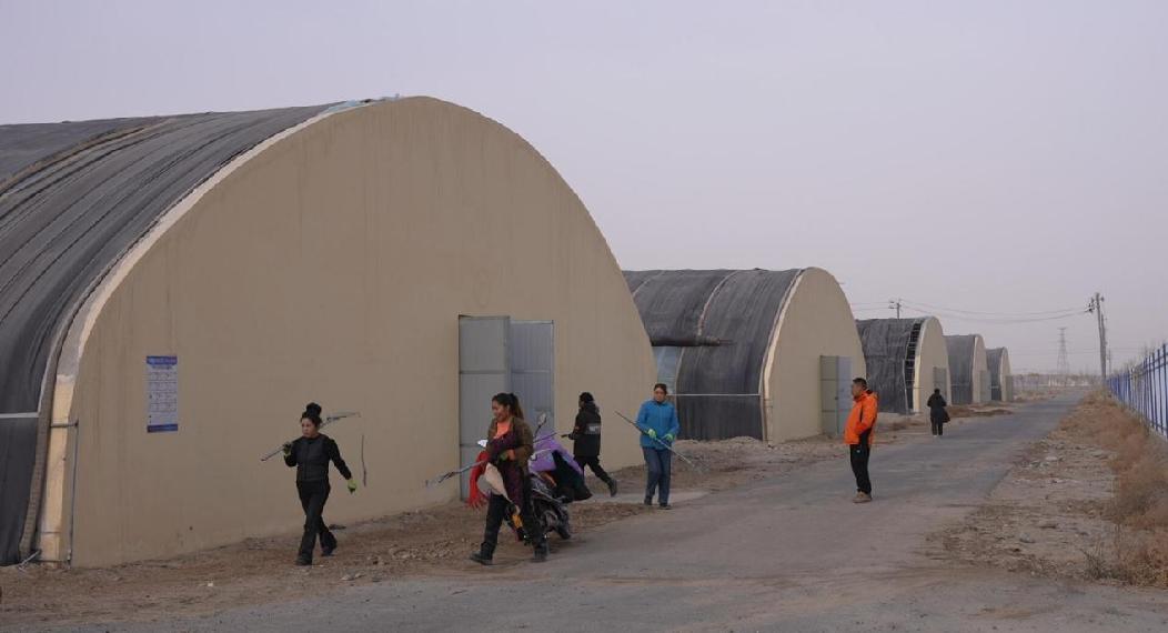 QQ截图20231218121759