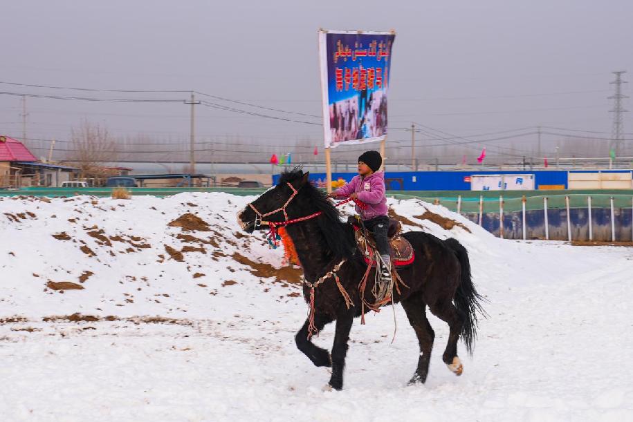 W020231225609232592352