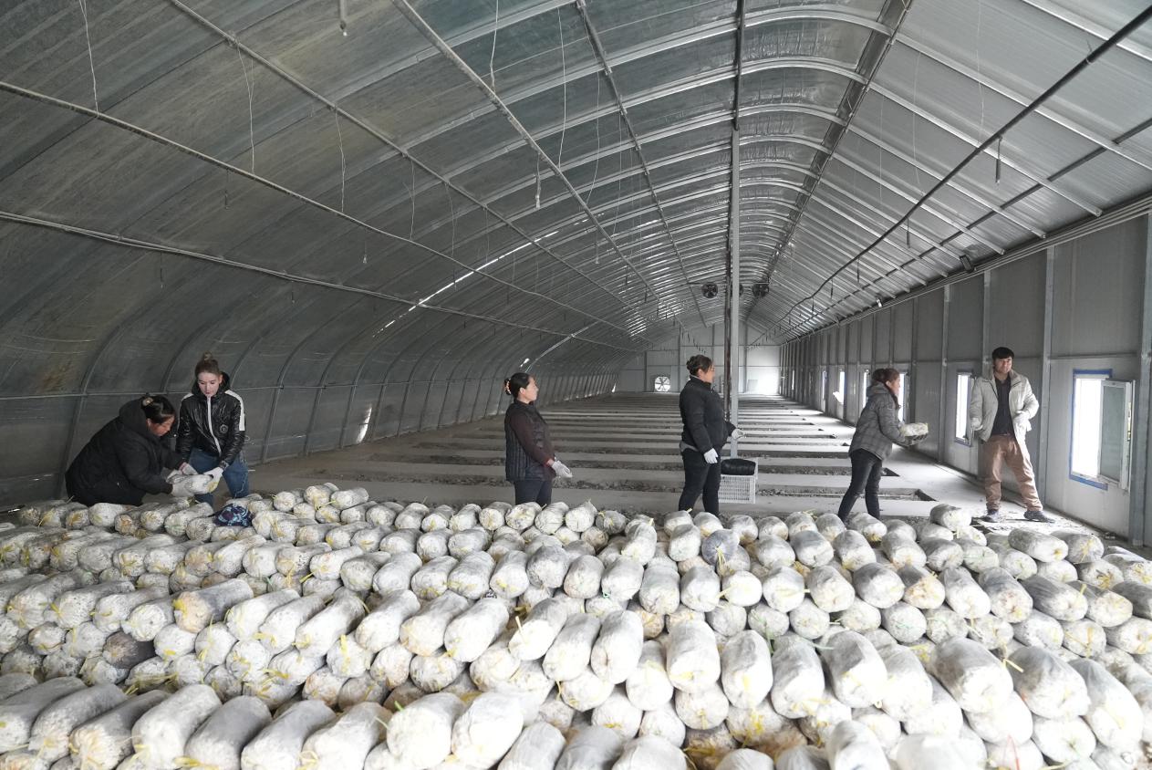 W020231225510675985719