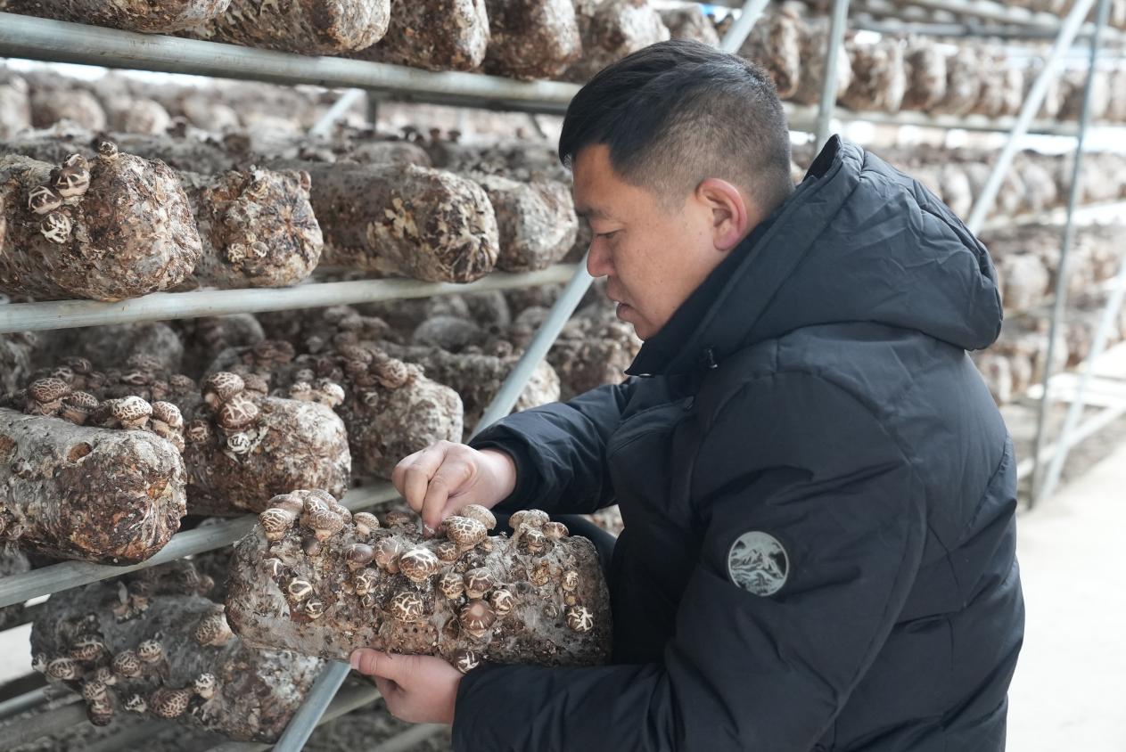 W020231225510673910852