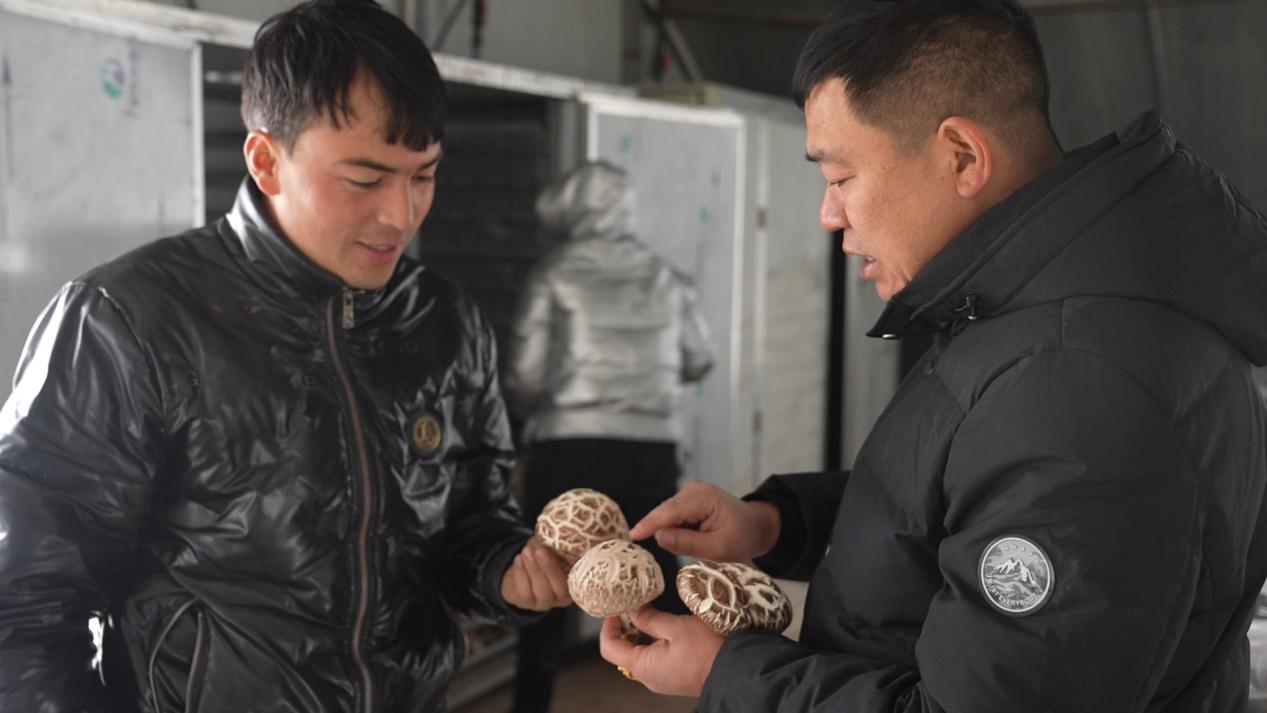 W020231225510678022494